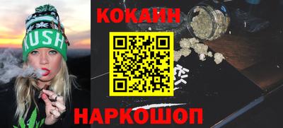 крисы Можга