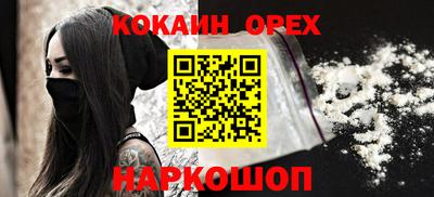 крисы Можга