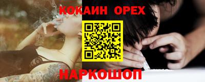 крисы Можга
