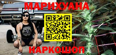 крисы Можга