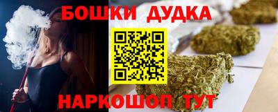 крисы Можга