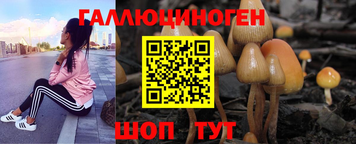 Владивосток  Псилоцибиновые грибы ЛСД  Псилоцибиновые грибы Psilocybine cubensis  Вход с VPN 